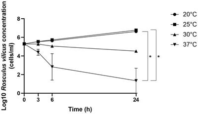 Characterization of Rosculus vilicus sp. nov., a rhizarian amoeba interacting with Mycobacterium avium subsp. paratuberculosis